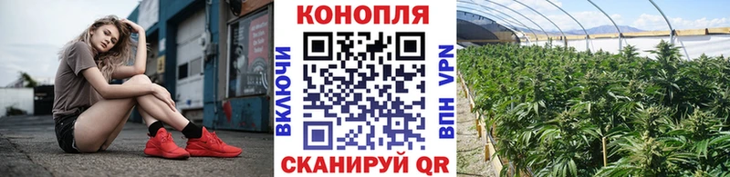 Купить закладки  Чадан  Шишки марихуана MAZAR 
